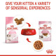 Royal Canin Kitten – Hrană Umedă Premium pentru Pisici Tinere, în Sos, 85 g